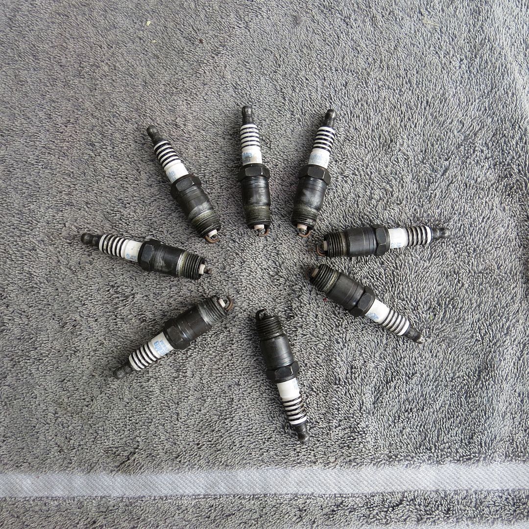 For Sale Autolite Platinum Spark plugs AP 24 Cooler heat range for